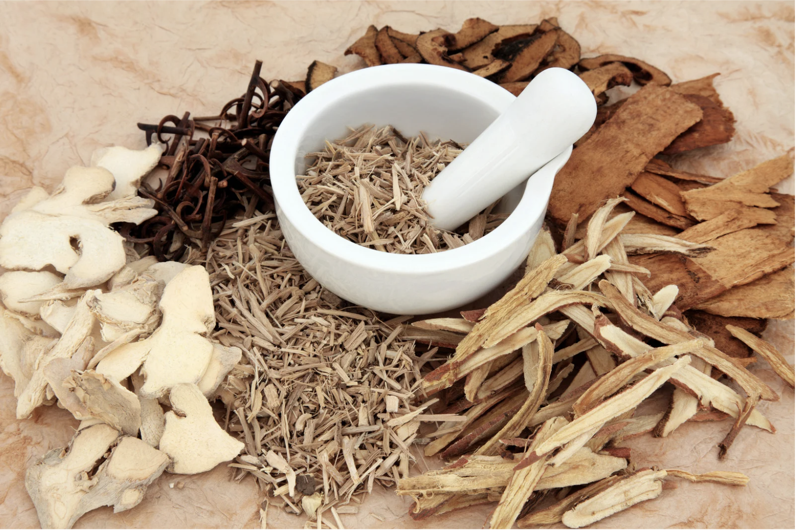Chinese herbal medicine ingredients with mortar and pestle — individualized formulas are the foundation of TCM herbal treatment